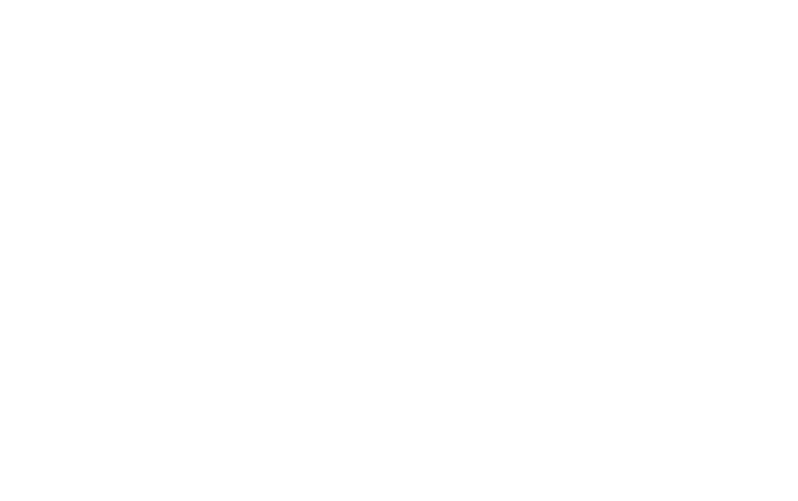 Soporte Técnico Avanzado